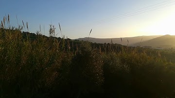 سورة القلم📖بصوت يحيى صدقي تلاوة هادئة 🌼🌼مع سحر جمال الطبيعة 🌿🌿🌿🌿