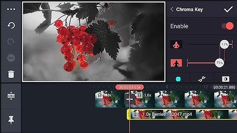 colour isolation in Kinemaster