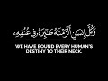 وكل إنسان ألزمناه طائره في عنقه مشاري العفاسي قران شاشة سوداء بدون حقوق سورة الإسراء