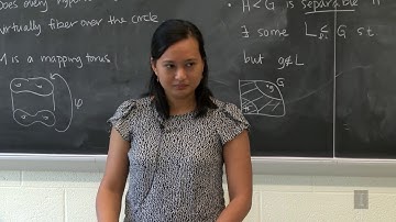 Special subgroups of Bianchi groups (GGD/GEAR Seminar)