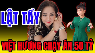 Bí Ẩn Việt Hương: Chạy Án 50 Tỷ Và Sự Thật Đằng Sau Đế Chế Mỹ Phẩm| Điều Cơ Bản