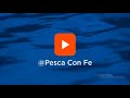 🎣 Video De Agradecimiento A Los Colegas De Anzuelos Y Clientes Fieles De Pesca Con Fe 🤯