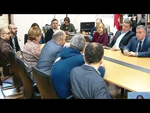 „ევროპული საქართველო“ ექსპერტებს შეხვდა