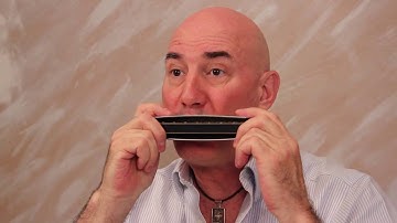 Vibrato Series 4 Chromatic Harmonica David Kettlewell