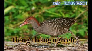 tiếng chằng nghịch chuẩn - file hay cho anh em tham khảo