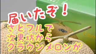 さとふるひとつ一万円のメロンが送られて来ました