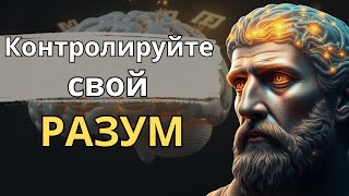 7 древних правил, которые помогут вам контролировать свой разум (изменят вашу жизнь!)