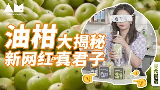 [Eng Sub]你知道油柑这种水果吗？All the secrets about the new popular fruit phyllanthus emblica 丨曼食慢语