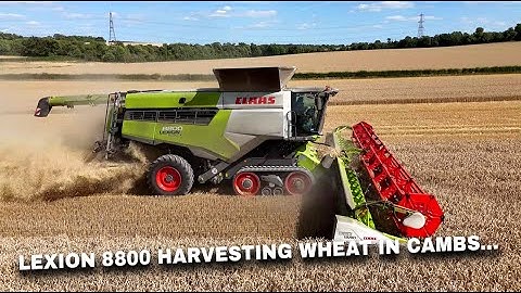 4Kᵁᴴᴰ Harvest 2025: Thurlow Estate - Claas Lexion 8800 harvesting wheat in Bartlow, Cambridgeshire.