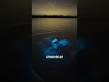 Why is the Water Glowing?