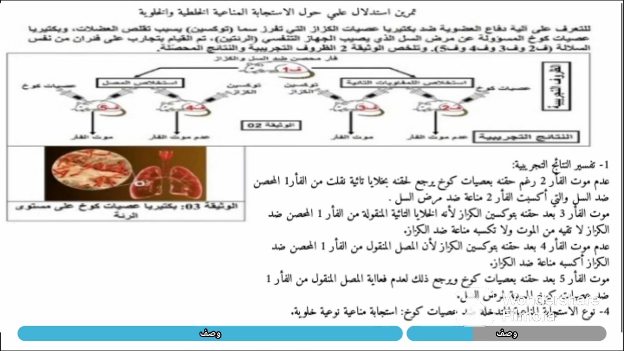 تمرين شامل حول الاستجابة المناعية النوعية الخلطية والخلوية رابعة متوسط