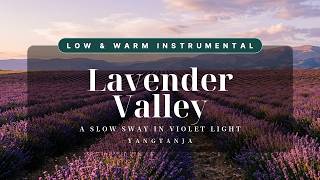 Lavender Valley - Soft Euphonium & Harmonium for a Slow Evening screenshot 1