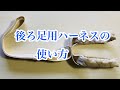 [老犬介護] 後ろ足用ハーネスの使用について