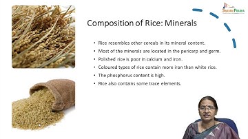 Structure, Composition and Processing of Rice- #swayamprabha #ch37sp