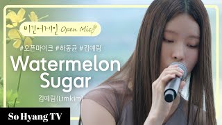 Lim Kim (김예림) - Watermelon Sugar | Begin Again Open Mic (비긴어게인 오픈마이크)