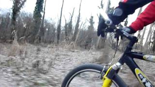 ciao mama - 18 dicembre 2011 - quelli che la bicicletta...