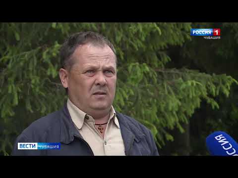 В Чувашии обнаружено более 300 га земли, зараженной опасным растением