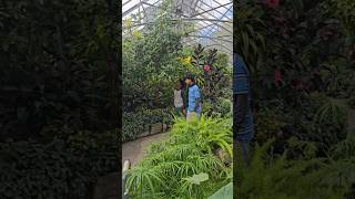 short clips #canada #clips #travel #nature #shorts