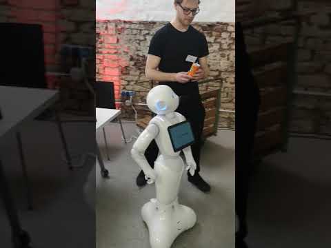 Nyris Visual Search Running On The Pepper Robot