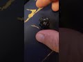 #dice #diceaddiction #dicebox #3dprinted #eryth