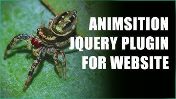 How to Use Animsition jQuery Plugin for Website Transition