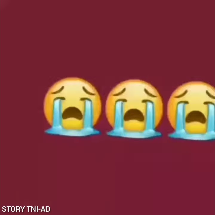 Story wa TNI