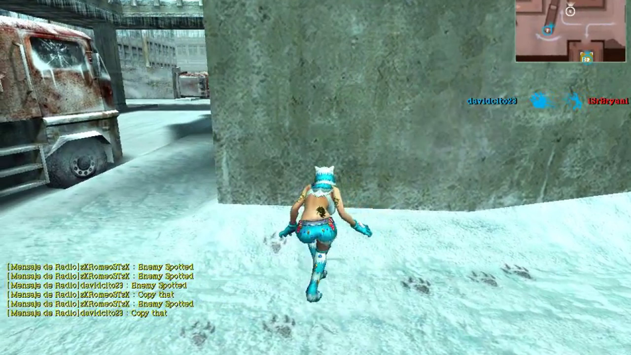 wolfteam jugando con gatita navideña