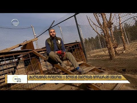 ახალგაზრდა, რომელიც 11 წლიდან თბილისის ზოოპარკში მუშაობს