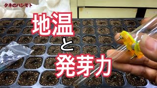 春先の種蒔き方法（便利アイテムも登場！）　タネのハシモト