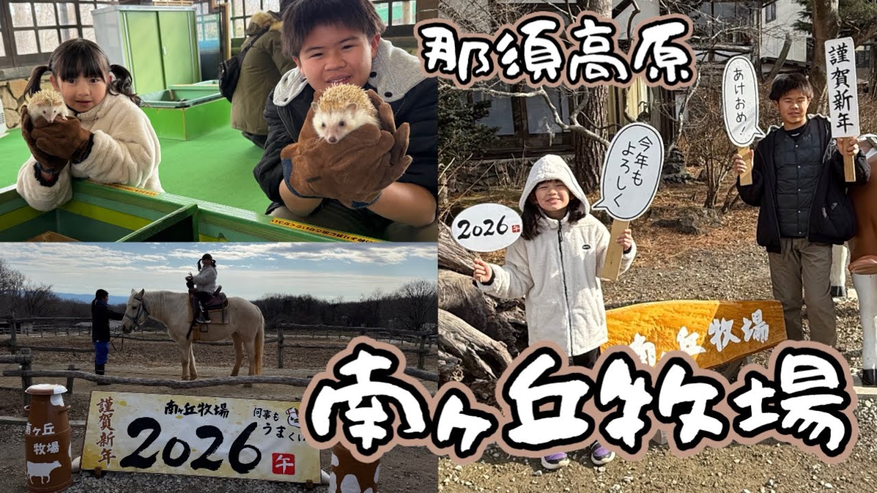 【那須】午年だから南ヶ丘牧場で乗馬してきた！3年ぶりのうさんぽ🐰やハリネズミに癒される🦔