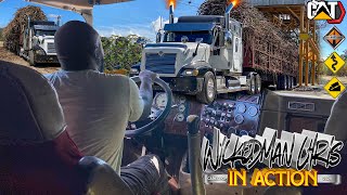 Wickedman Chris In Action | Shifting 18 Speed | International 94 | Cane Crop 2024 | Jamaican Trucker