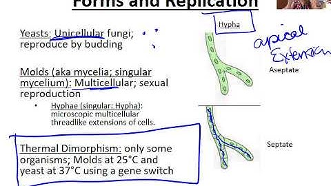 Introduction to Fungi