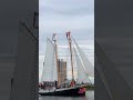 mast dive madness 😱⛵️ #shorts