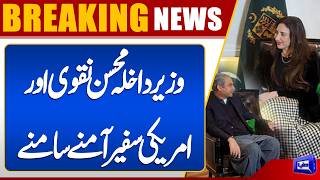 Federal Interior Minister Mohsin Naqvi Holds Important Meeting with US Ambassador Natalie Baker
