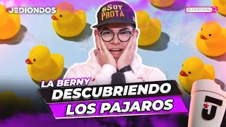 LA BERNY LLEGA DESCUBRIENDO PAJAROS JEDIONDOS