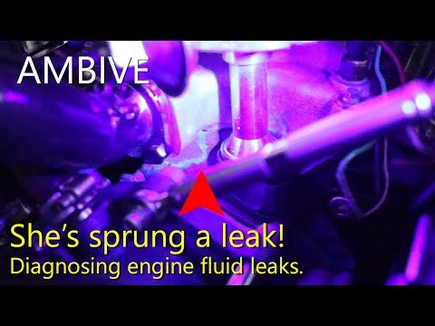 Quick Tip: Diagnosing an engine fluid leak