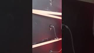 Brewog  Blitar Dengan Box Kimochikarnaval Desa Tempel Ngronggot2025karnaval brewog fyp