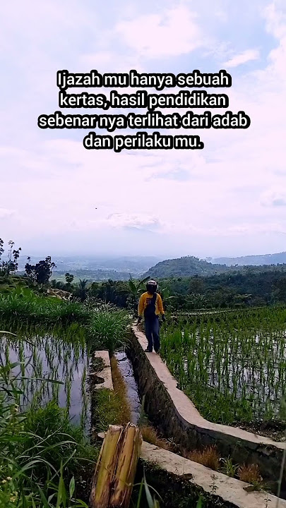STORY WA ‼️ ADAB DIATAS ILMU