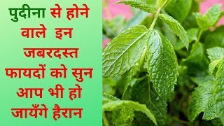 पुदीना के फायदे गुण लाभ और नुकसान , Benefits and side effects of mint in hindi