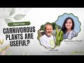 Unleashing the carnivorous plant secrets jeff dallas tells all  plants craze