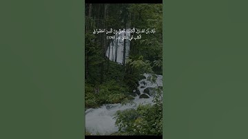 سوره البقره الايات 175 176