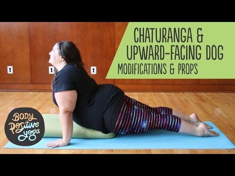 Yoga Videos  Chaturanga Dandasana-Urdhva Mukha Svanasana Transition