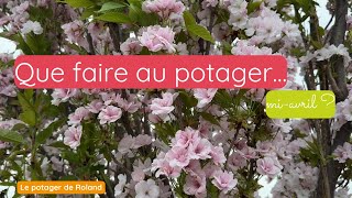 Que faire au potager, mi-avril ? LE POTAGER DE ROLAND