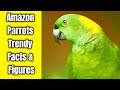 Amazon Parrots Trendy Facts | Amazon Parrots Trendy Facts &amp; Figures | Amazon Parrots Facts | Parrot