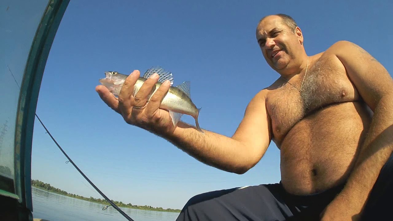 Обзор и тест катушки от компании PISCIFUN ,,Flame". Ловля судака в жаркий августовский день.