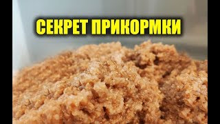 ПРИКОРМКА ЗА 3 РУБЛЯ! МЕЧТАЛИ ВСЕ РЫБАКИ О НЕЙ! СЕКРЕТ ПРИГОТОВЛЕНИЯ ПРИКОРМКИ ИЗ ПШЕНИЦЫ!