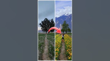 Transform Your Photos with Adobe Firefly Generative Fill !! 🤯🤯 #shorts #youtubeshorts #ytshorts