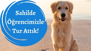 Eğitim Alan Köpeğinizle Neler Yapabilirsiniz?🥇 Her Şey Bu kadar Kolay ✔️