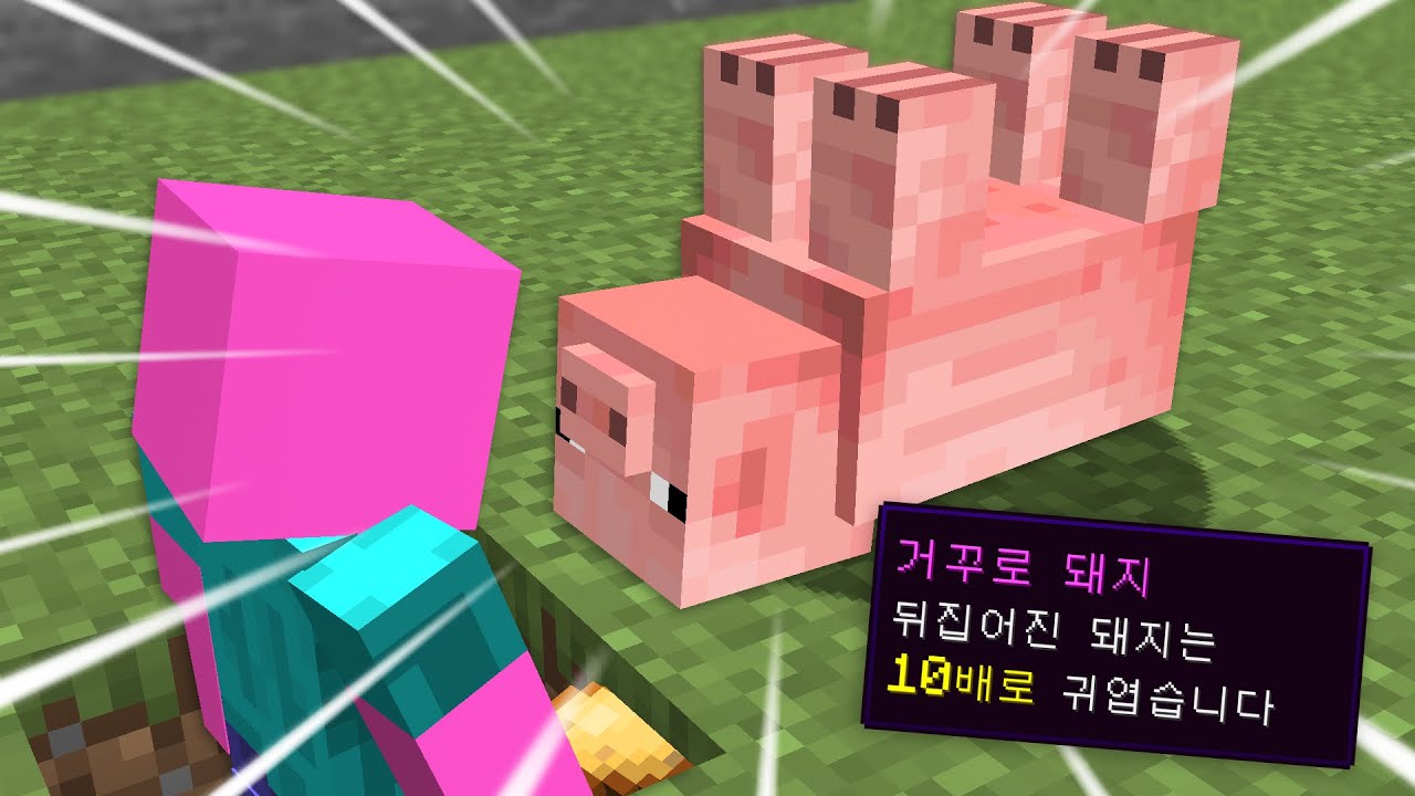 [마인크래프트] 피그시티 시즌6 #40화 무지개양과 거꾸로 뒤집어진 돼지들!!!