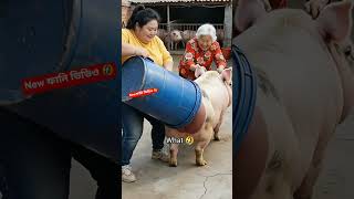 New ফানি ভিডিও 🤣#shorts #shortvideo #funny #comedy